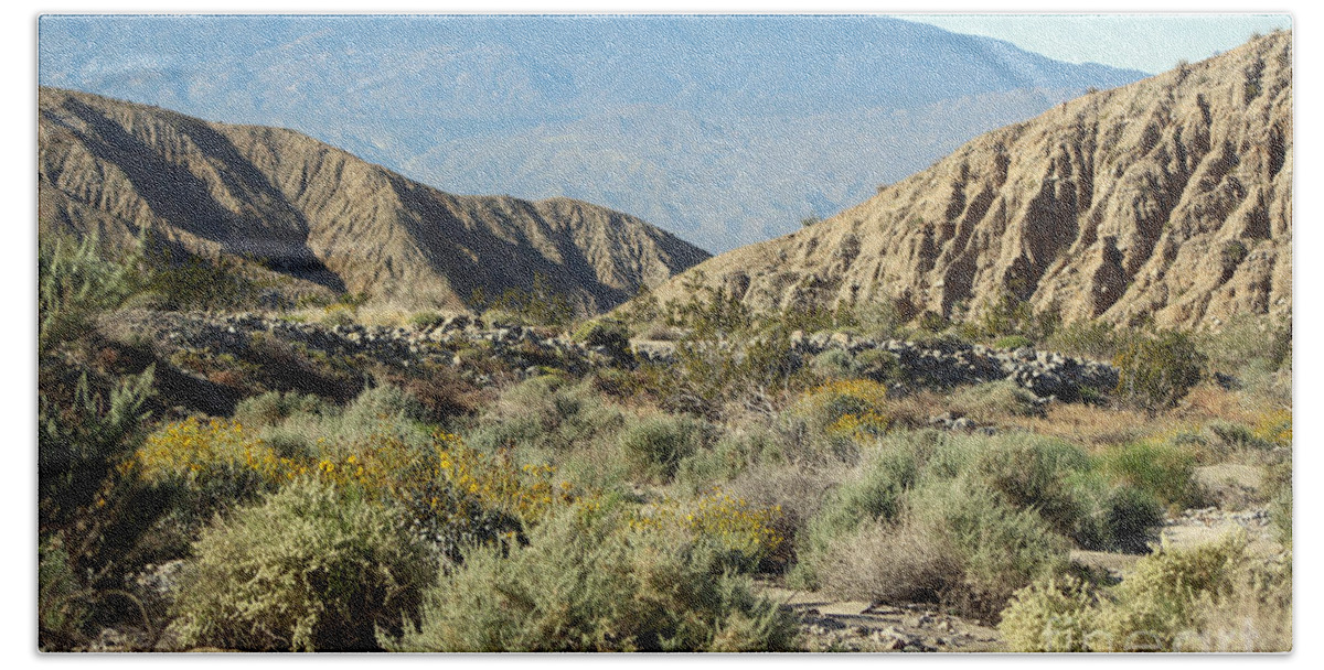 Desert Oasis Beach Towel featuring the photograph Desert Scene 6 Coachella Valley Wildlife Preserve by Colleen Cornelius