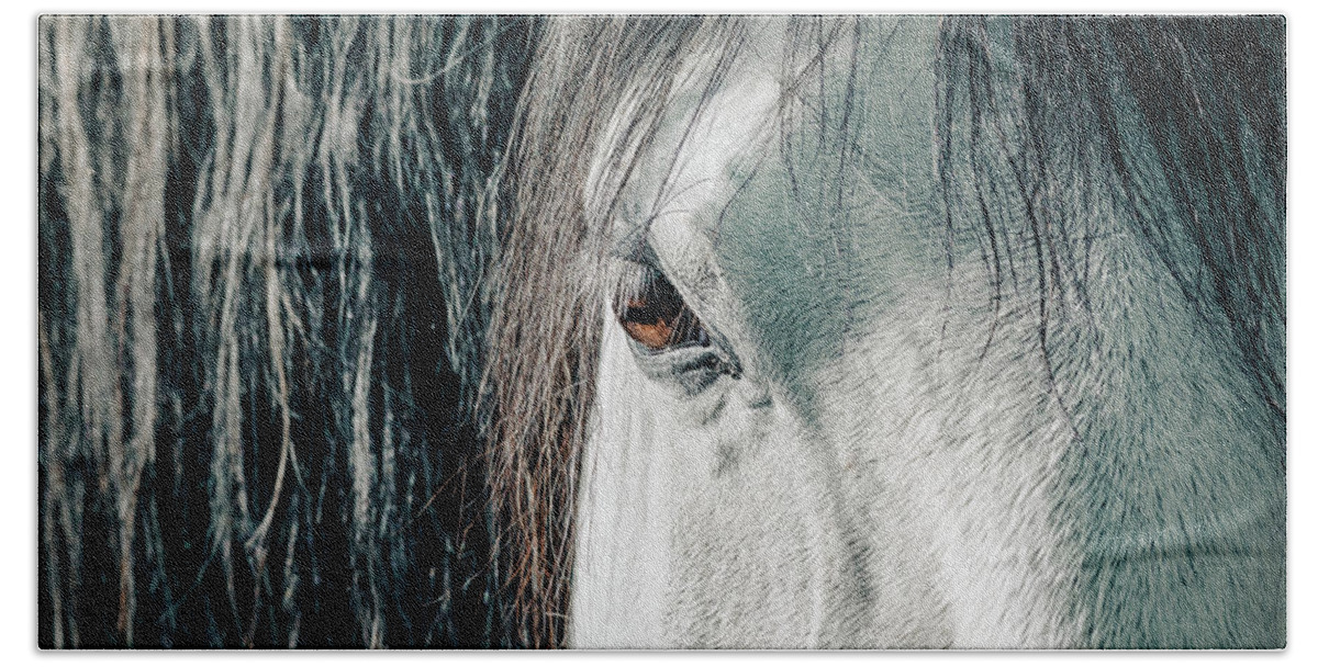Beauty In Nature Beach Towel featuring the photograph Details of horse's head by Benoit Bruchez
