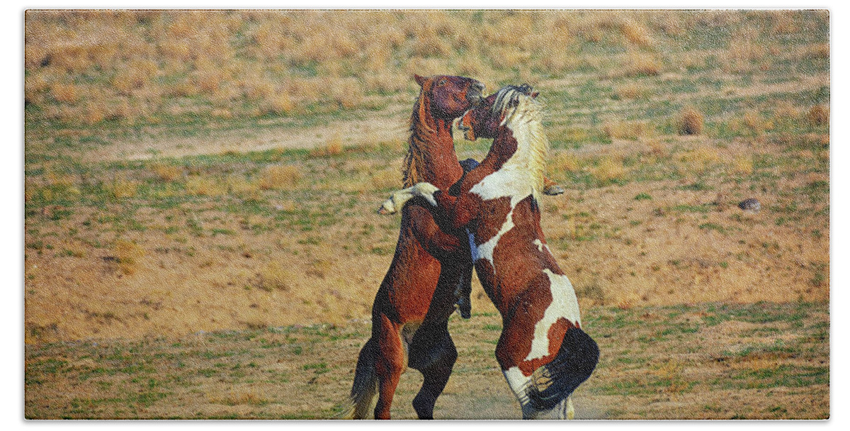Onaqui Wild Horses Beach Towel featuring the photograph Dirty Dancing by Greg Norrell