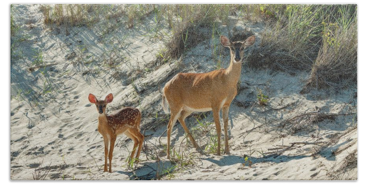 Dunes Beach Towel featuring the photograph Doe and Fawn by Liza Eckardt
