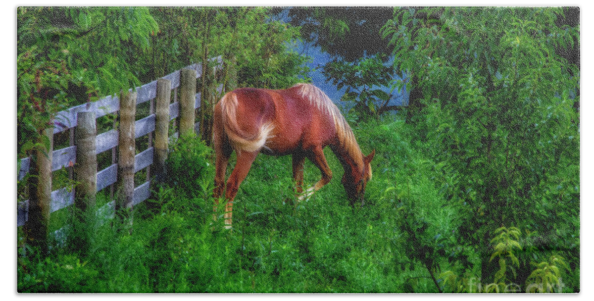 Horse Beach Towel featuring the photograph Don't fence me in... by Shelia Hunt