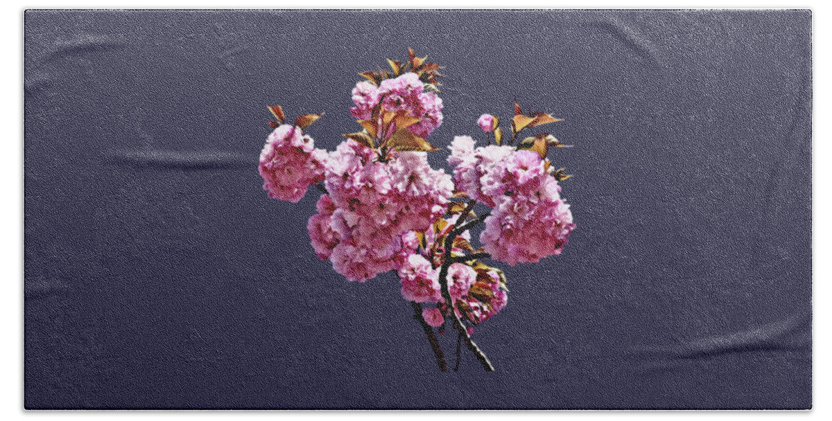Cherry Blossom Beach Towel featuring the photograph Double Cherry Blossom Branches by Susan Savad