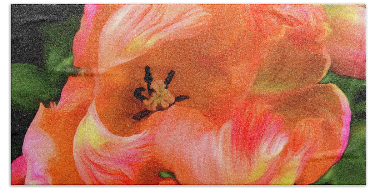 Tulips Beach Sheet featuring the photograph Double Dutch Tulips by Scott Cameron