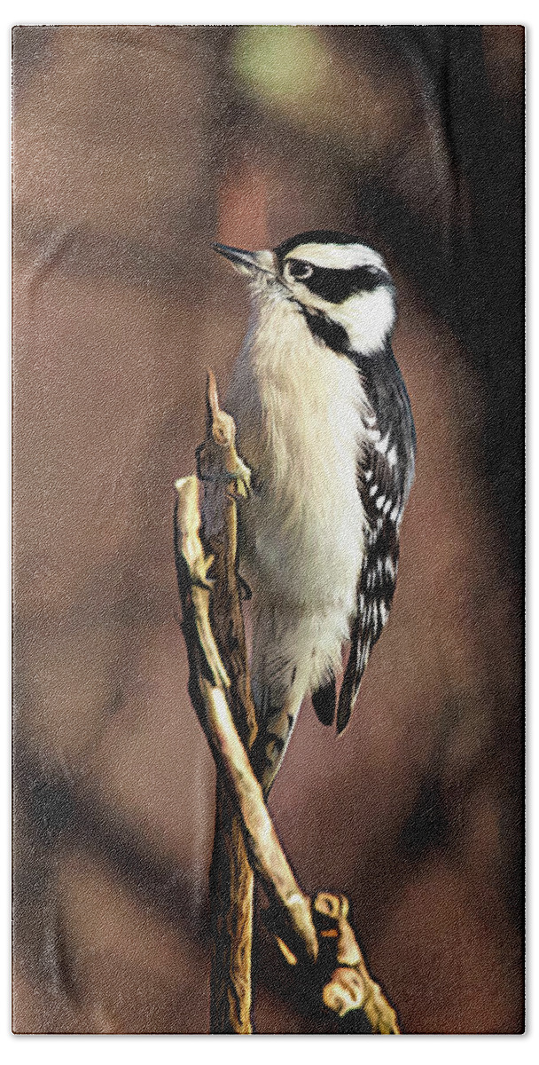 Downy Woodpecker Beach Towel featuring the photograph Downy Woodpecker on Branch by Jaki Miller