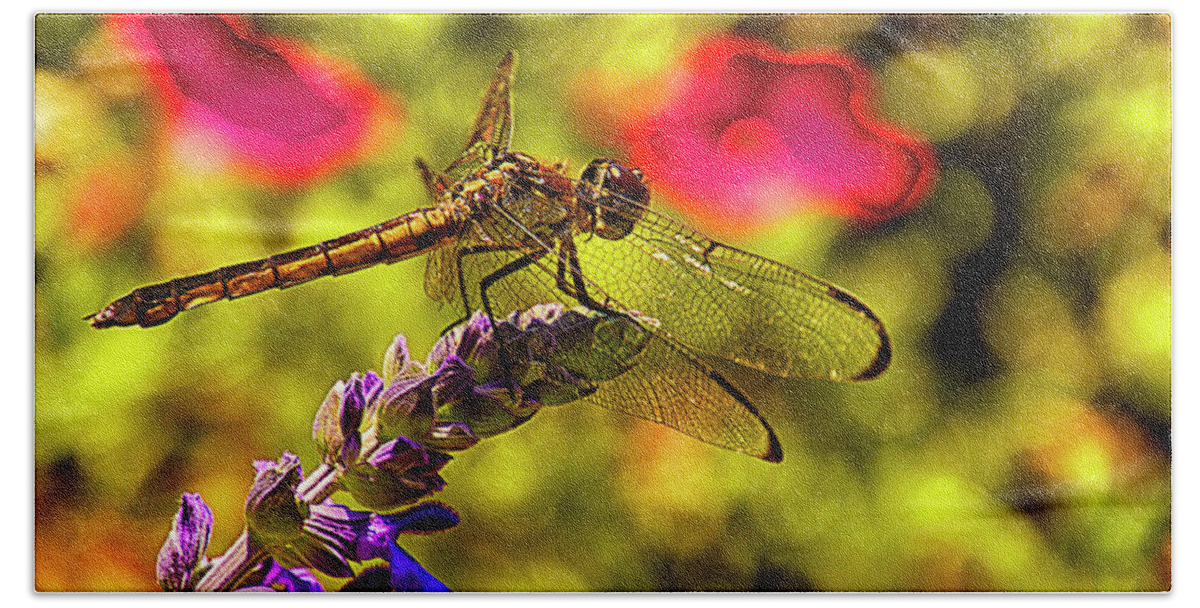Dragonfly Beach Towel featuring the photograph Dragonfly by Bill Barber