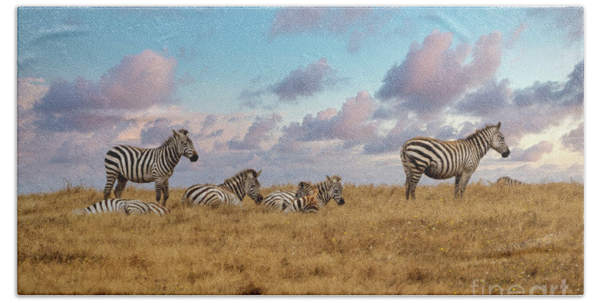 Zebra Beach Towel featuring the photograph Dreaming of Zebras in the California Hills by Mimi Ditchie