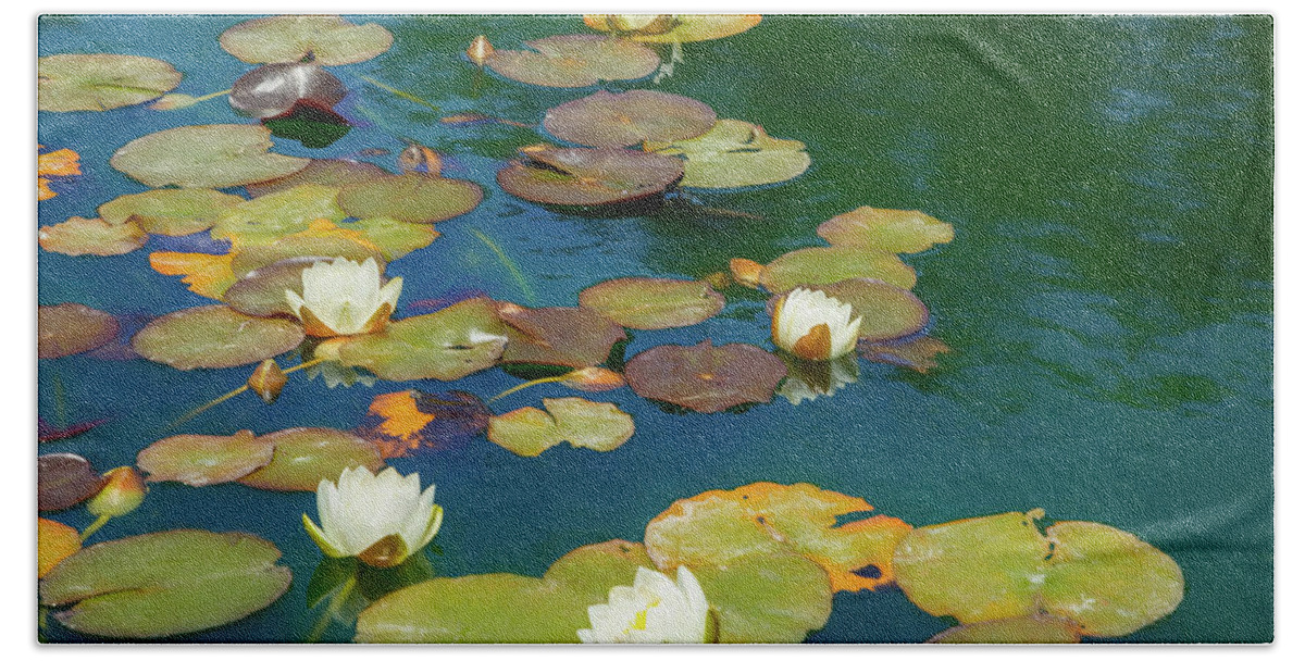 Water Lily Beach Towel featuring the photograph Dreamy Water Lilies on Pond by Bonnie Follett