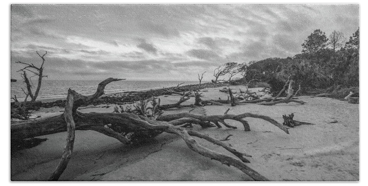 3-nature Beach Towel featuring the photograph Drift wood beach photograph by Louis Dallara