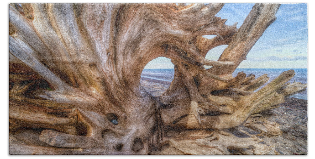 Driftwood Beach Towel featuring the photograph Driftwood by Brad Bellisle