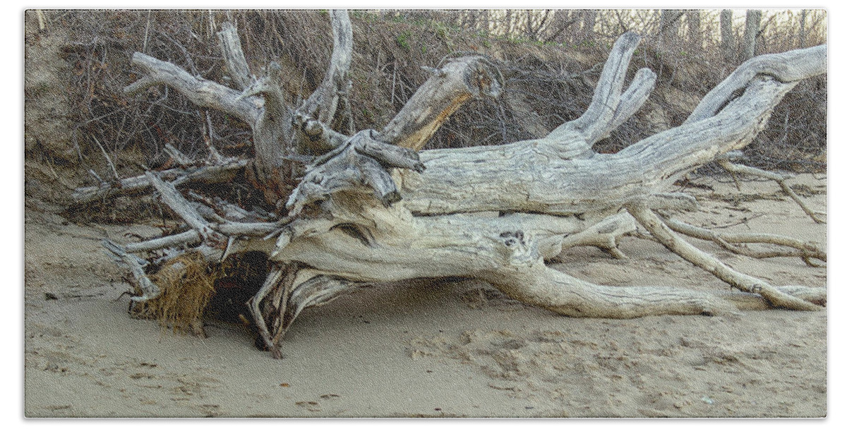 Driftwood Beach Towel featuring the photograph Driftwood by Cathy Kovarik