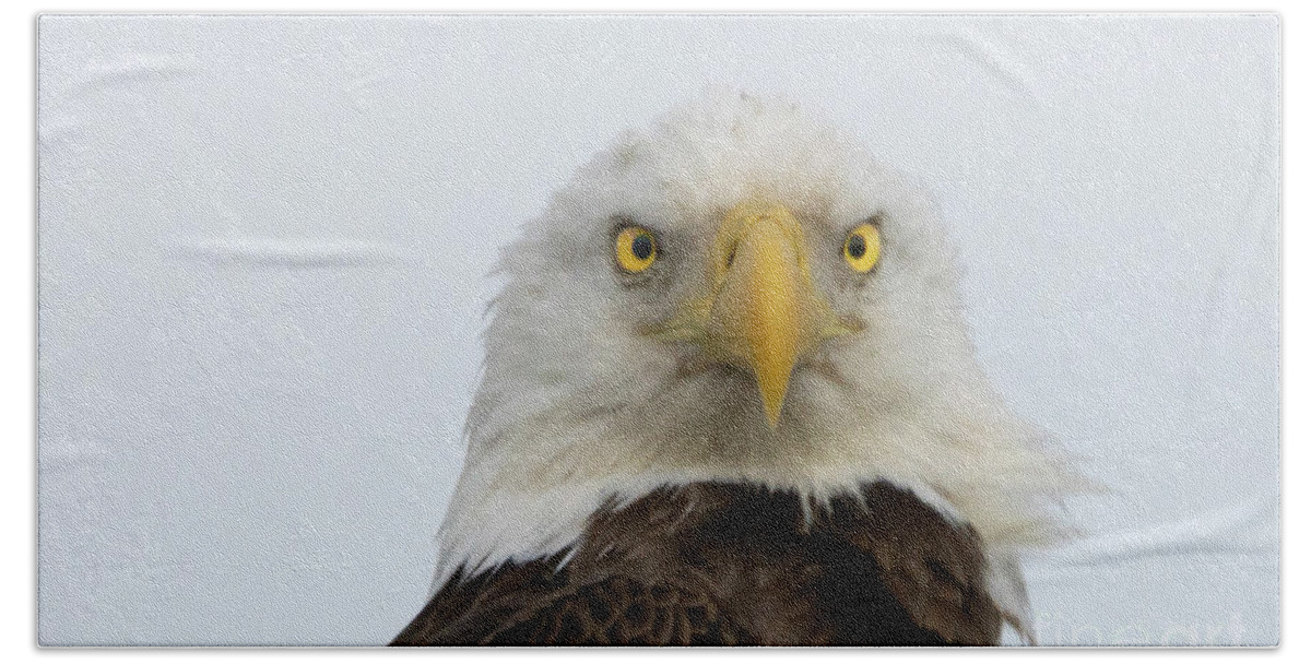 Eagle Beach Towel featuring the photograph Eagle Eyes by Tom Claud