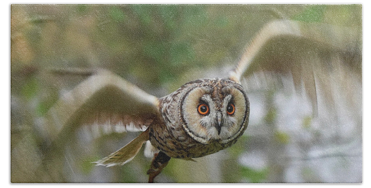 Owl Beach Towel featuring the photograph Eagle Owl in Flight by Gareth Parkes