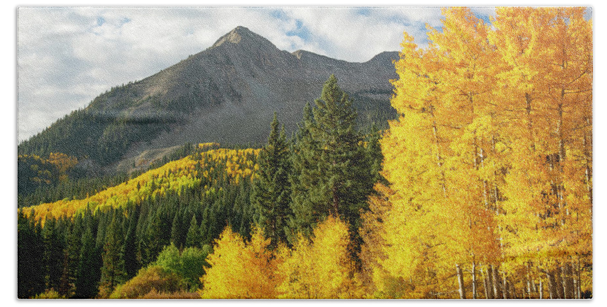 Aspens Beach Towel featuring the photograph East Beckwith Aspens by Aaron Spong