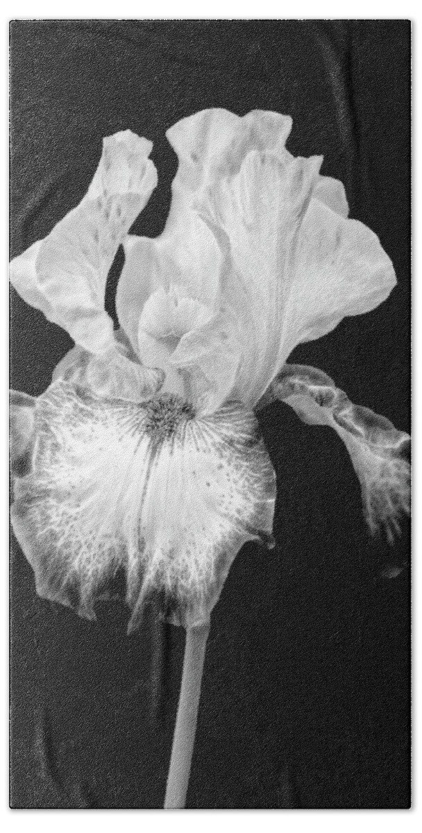 Iris Beach Towel featuring the photograph Electric Iris FlowerBW by Susan Candelario
