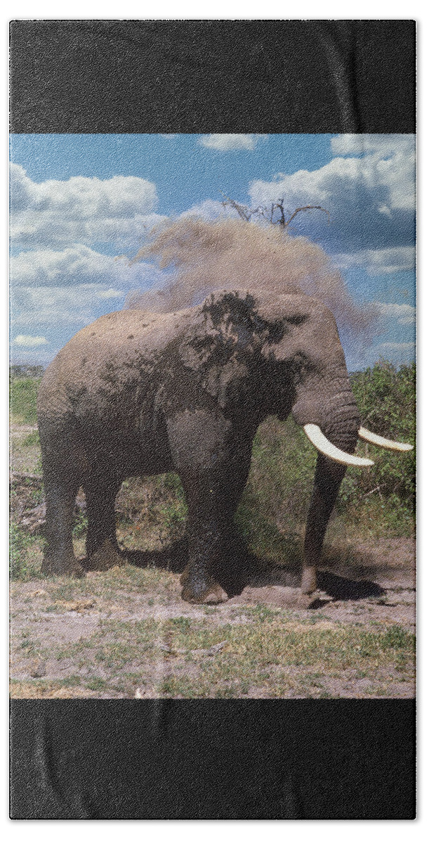 Africa Beach Towel featuring the photograph Elephant Dirt Bath by Russel Considine