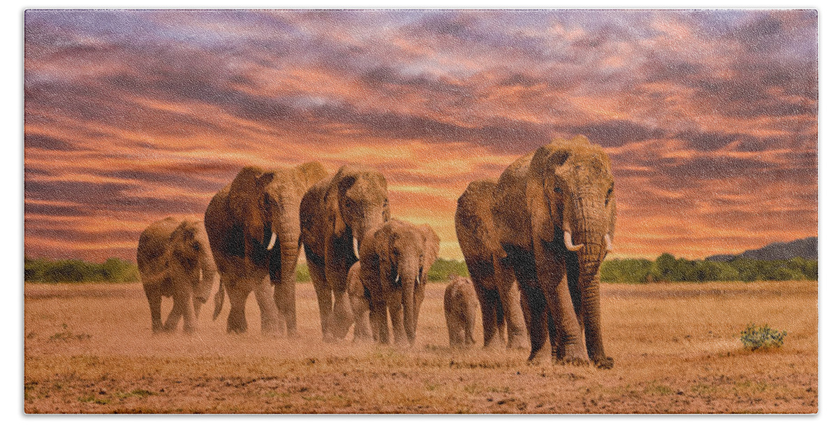  Elephants Beach Towel featuring the photograph 	Elephants in the Serengeti at Sunset by Mitchell R Grosky