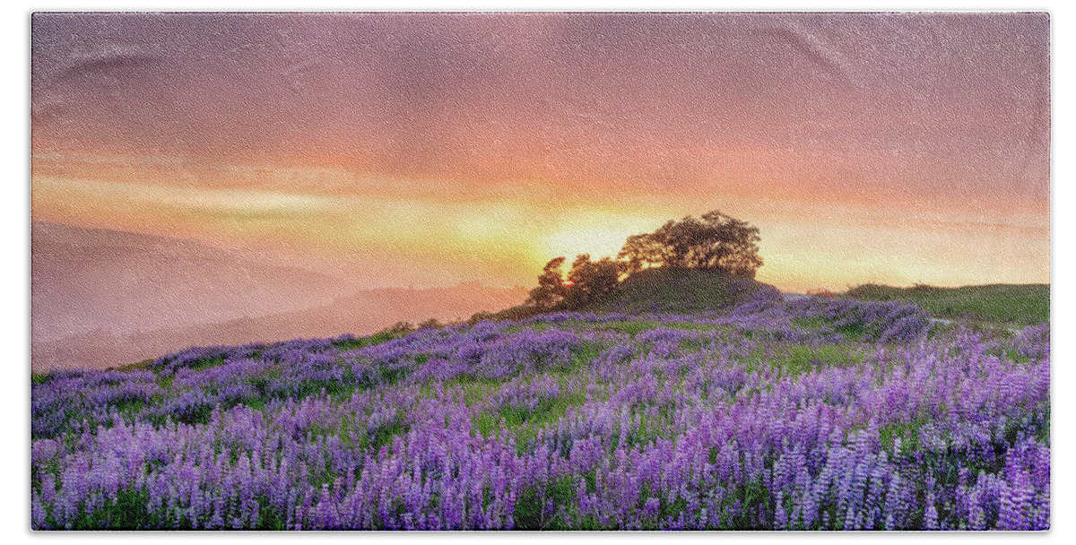 Lupine Beach Sheet featuring the photograph End of Day by Jason Roberts