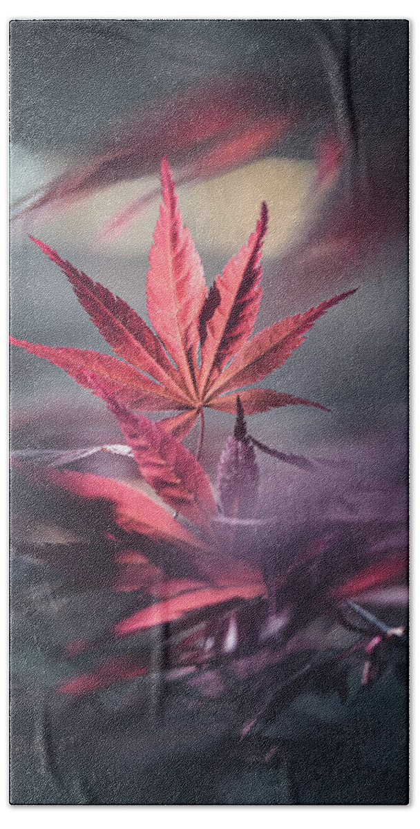 Leaves Beach Towel featuring the photograph Eternity by Philippe Sainte-Laudy