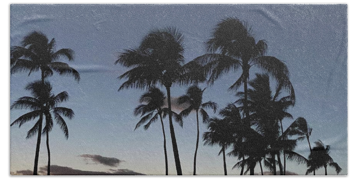 Andrea Callaway Beach Towel featuring the photograph Evening Palms by Andrea Callaway