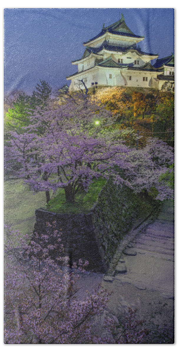 Towel　of　cherry-blossom　in　Kuzmanovic　Wakayama　Art　Evening　sakura　season　Mirko　Beach　view　Fine　America　castle　by