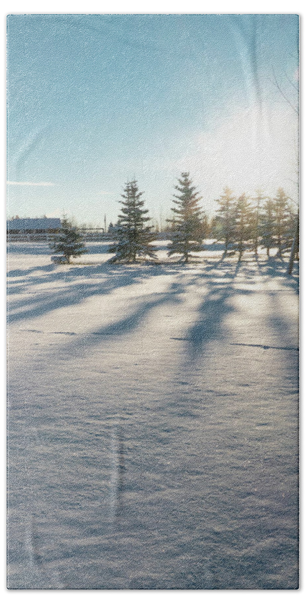 Evergreen Beach Towel featuring the photograph Evergreen Shadows On Snow by Karen Rispin