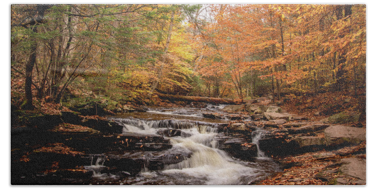 Fall Beach Towel featuring the photograph Fall Along the Glen Leigh by Rose Guinther