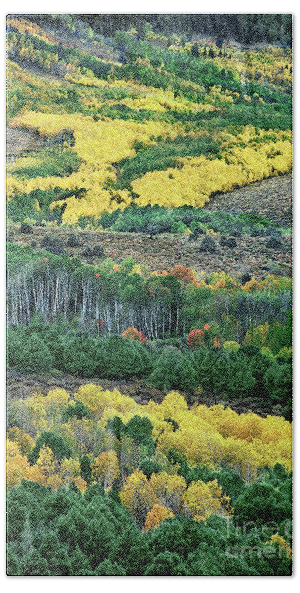Dave Welling Beach Towel featuring the photograph Fall Color in the Eastern Sierras California by Dave Welling
