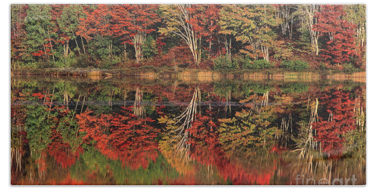Dave Welling Beach Towel featuring the photograph Fall Color Reflected in Thornton Lake Michigan by Dave Welling