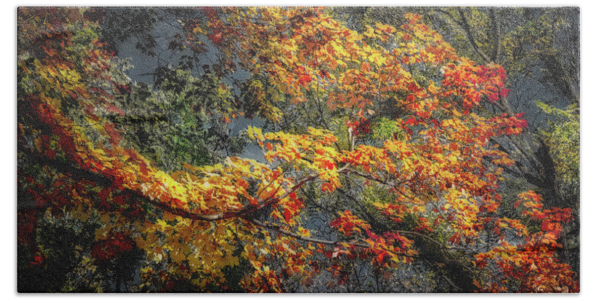 Fall Colors Beach Towel featuring the photograph Fall Colors by Jim Signorelli