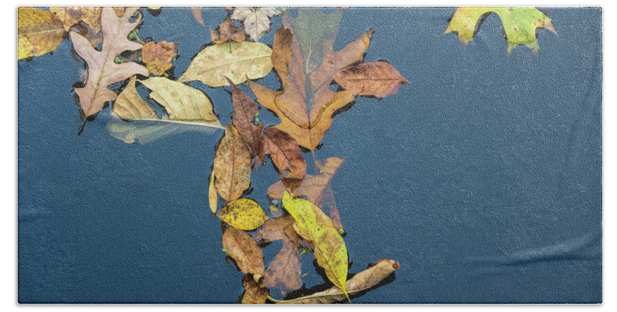 Autumn Beach Towel featuring the photograph Fallen Leaves III Color by David Gordon