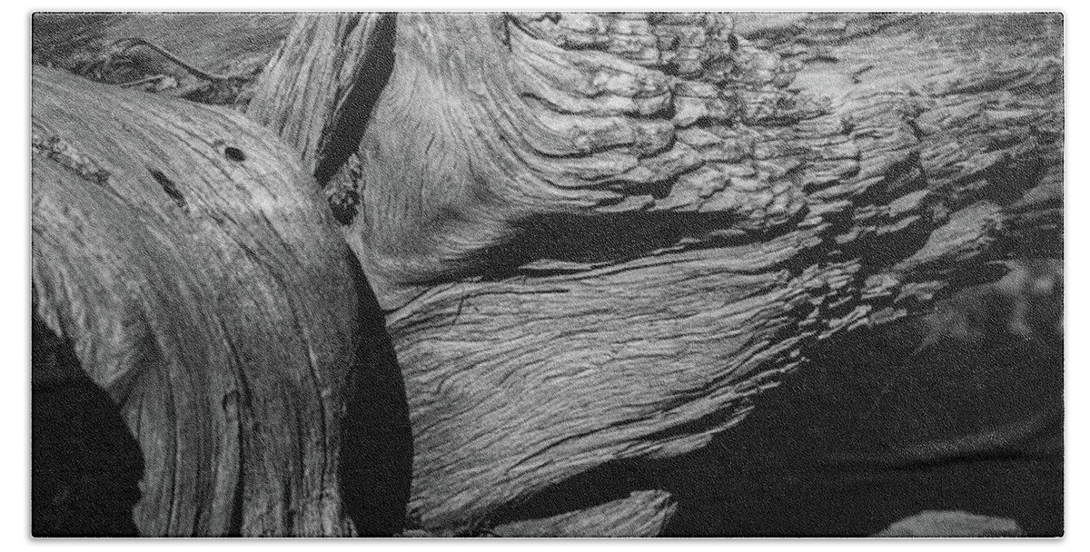 Pine Beach Towel featuring the photograph Fallen Pine in Black and White by Alan Goldberg