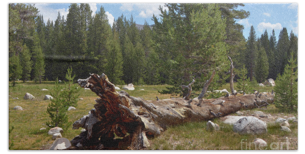 Landscape Beach Towel featuring the photograph Fallen Tree at Tuolumne Meadows Yosemite National Park by Debby Pueschel