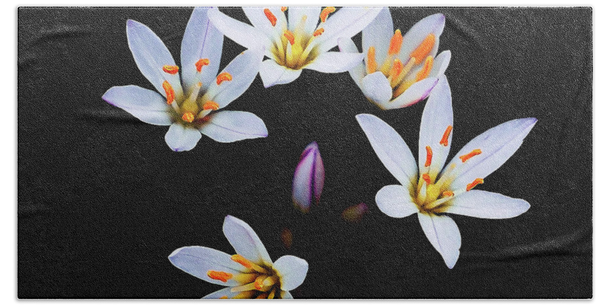 Bloom Beach Towel featuring the photograph False Garlic Blooms by Jerry Connally