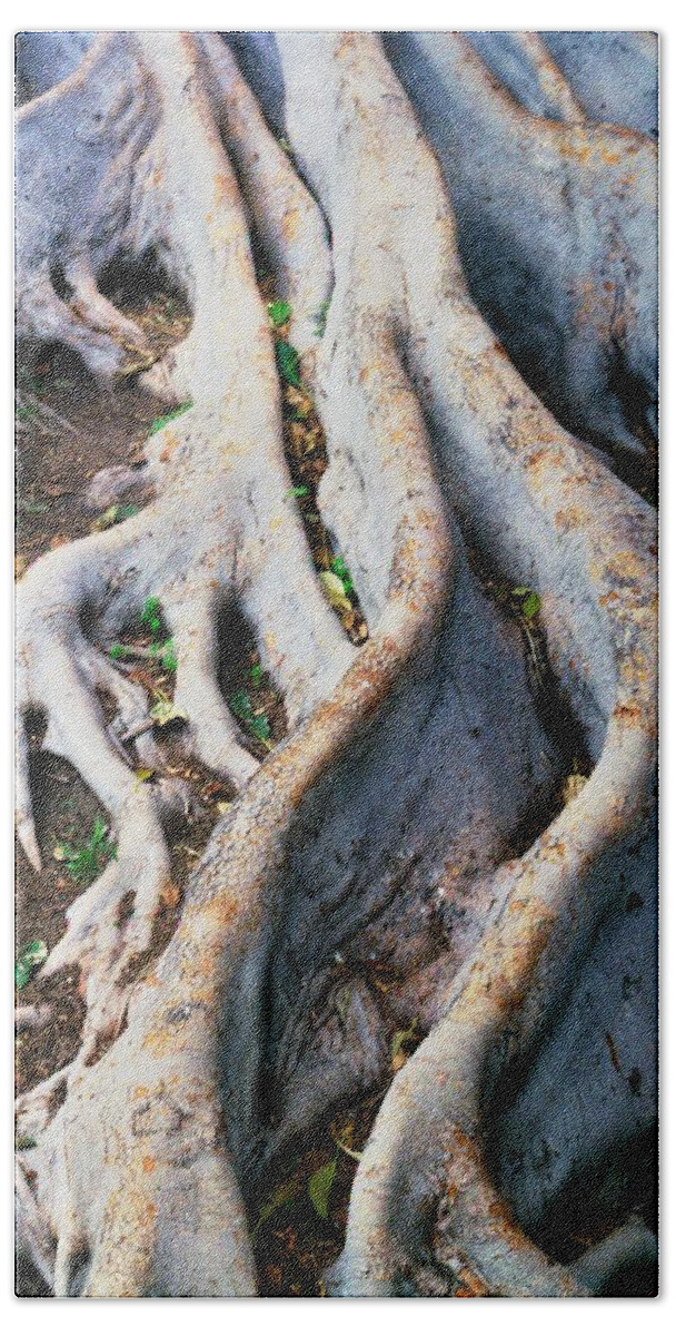 Tree Roots Beach Sheet featuring the photograph Family Bonds by Kerry Obrist