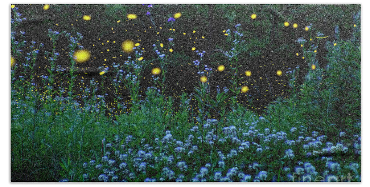 00573992 Beach Towel featuring the photograph Fireflies and the Night Meadow by Hiroya Minakuchi