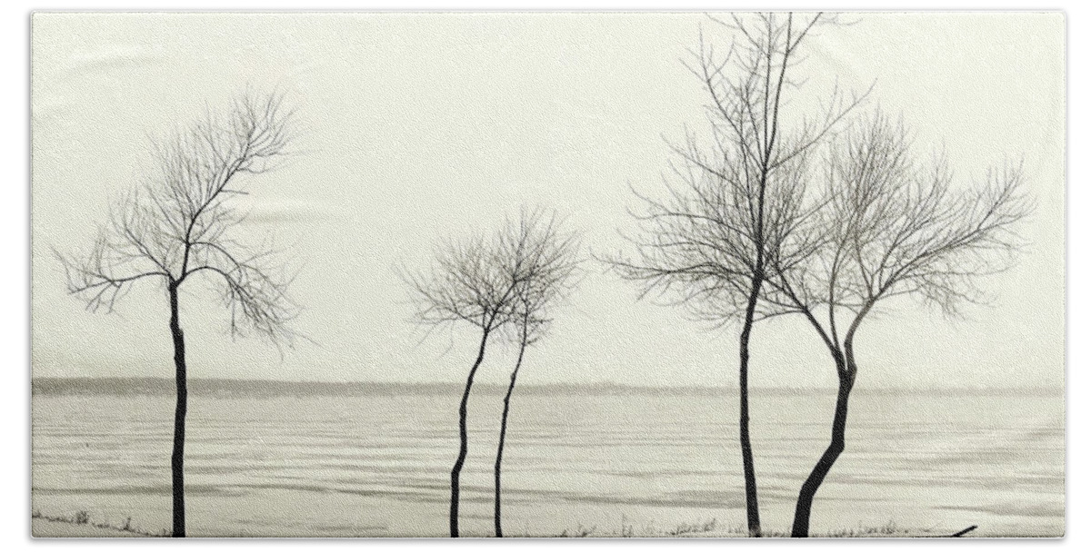 Lake Beach Towel featuring the photograph Five Lone Trees - Caseville, Michigan USA - by Edward Shotwell