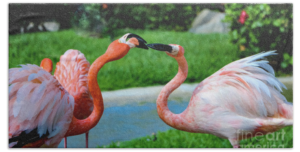 Flamingo Beach Towel featuring the photograph Flamingo Kiss by Theresa D Williams