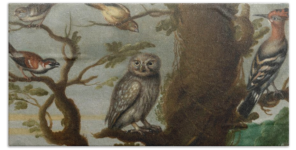Travel Beach Towel featuring the painting Flemish School Century An owl and a hoopoe and other birds in a tree by MotionAge Designs