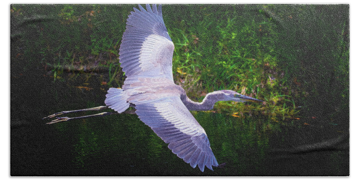 Great Blue Heron Beach Towel featuring the photograph Flight of the Great Heron by Mark Andrew Thomas