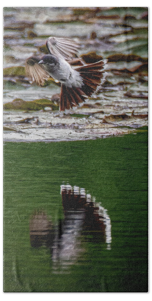 Animals Beach Towel featuring the photograph Flight of the King by Brian Shoemaker