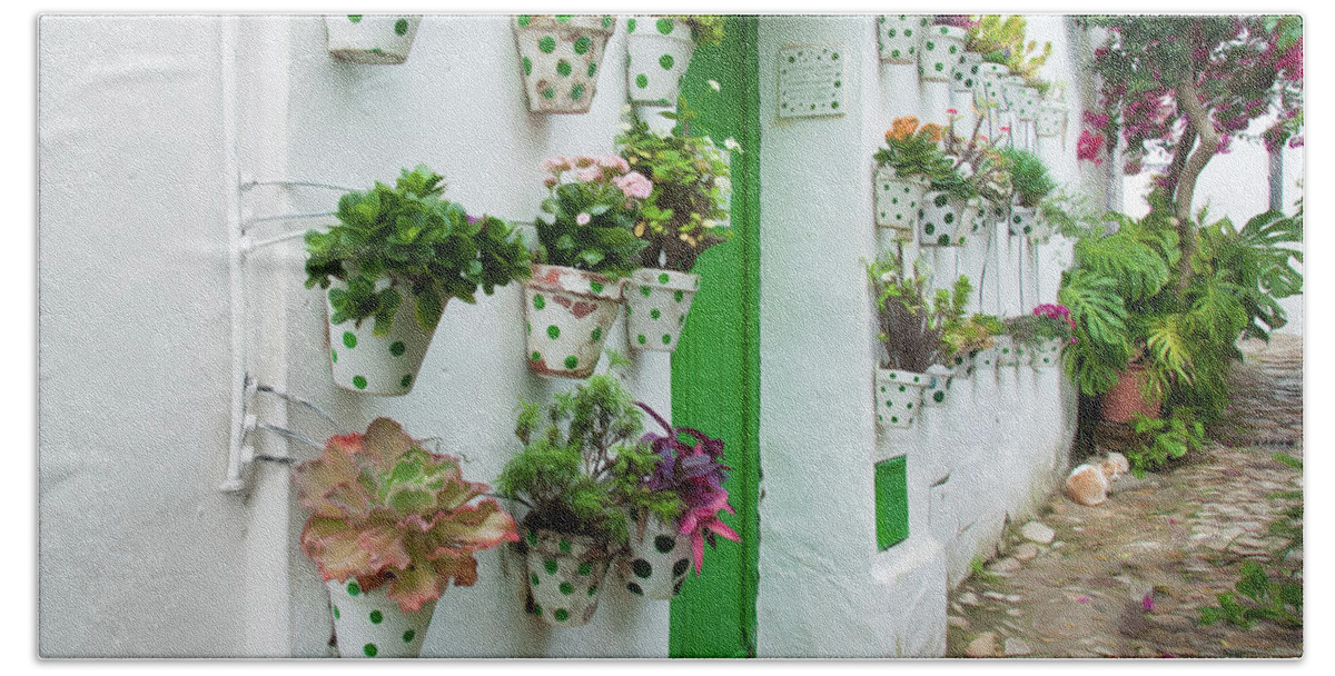Spain Beach Towel featuring the digital art Flower Pots in Green by Naomi Maya