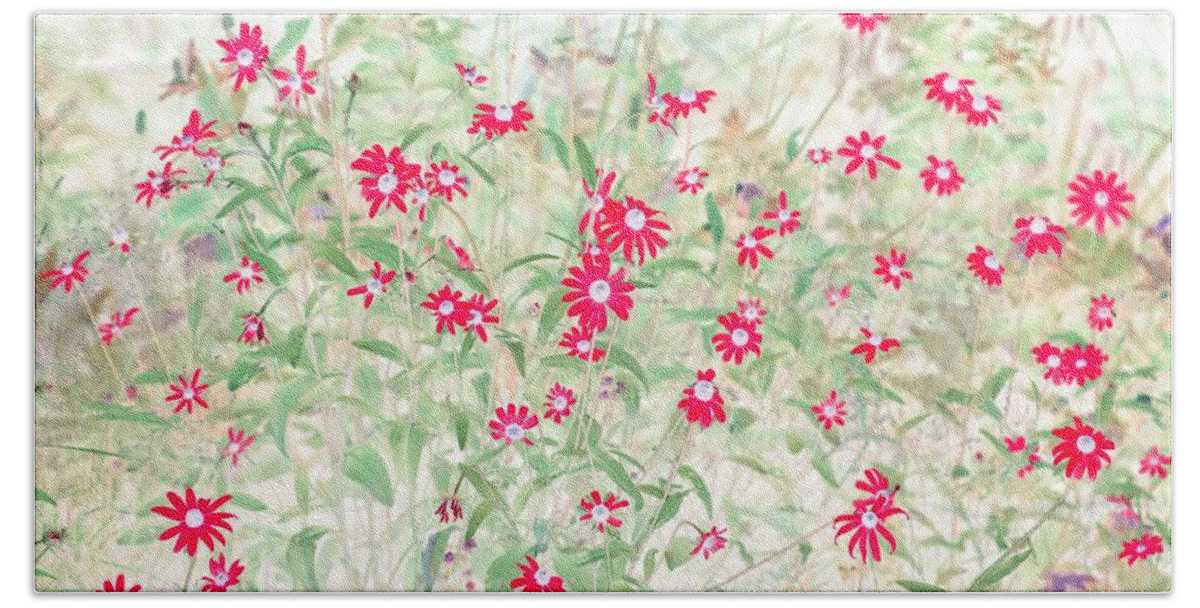 Flowers Beach Towel featuring the photograph Pops of Red Daisies by Missy Joy