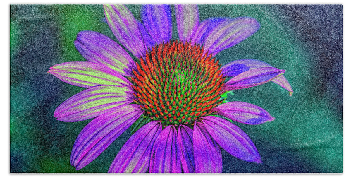 Purple Cone Flower Beach Towel featuring the photograph Flower Power by Penny Polakoff