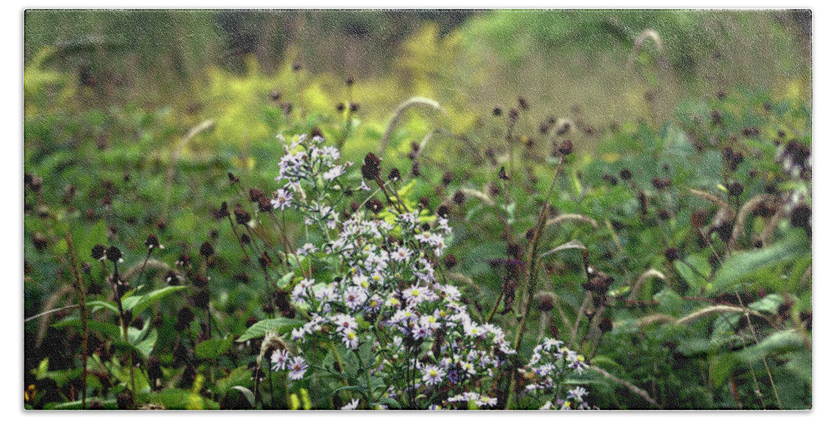 Flowers Beach Towel featuring the photograph Flowers at the End of Summer by Christopher Reed