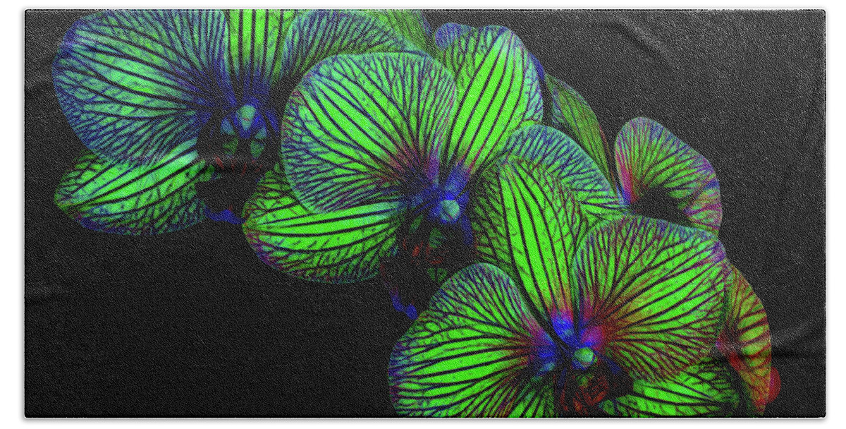 Fluorescent Beach Towel featuring the photograph Fluorescent Orchid Flowers by Elvira Peretsman
