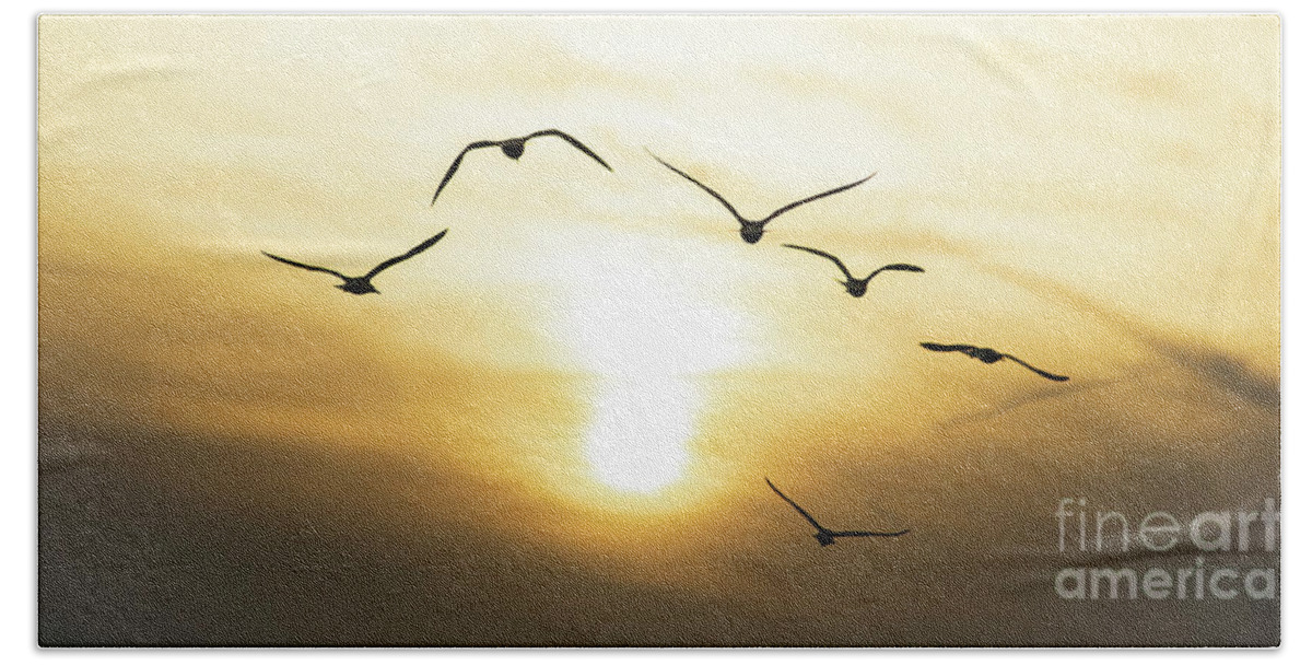 Photography Beach Towel featuring the photograph Flying Into The Sun by Sharon Mayhak