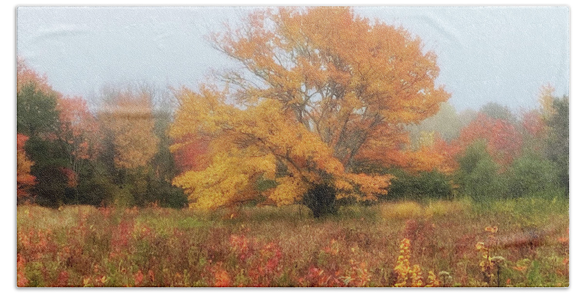 Foggy Beach Sheet featuring the photograph Foggy Day Autum color by Constantine Gregory