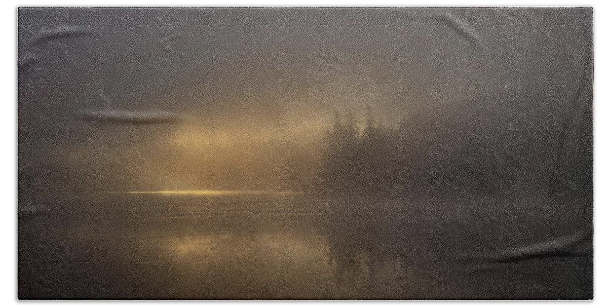 Fall Beach Towel featuring the photograph Foggy Gold by Bill Posner