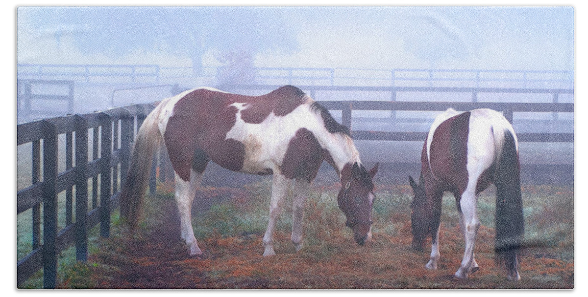 Horses Beach Towel featuring the photograph Foggy Morning Pintos by Jerry Griffin