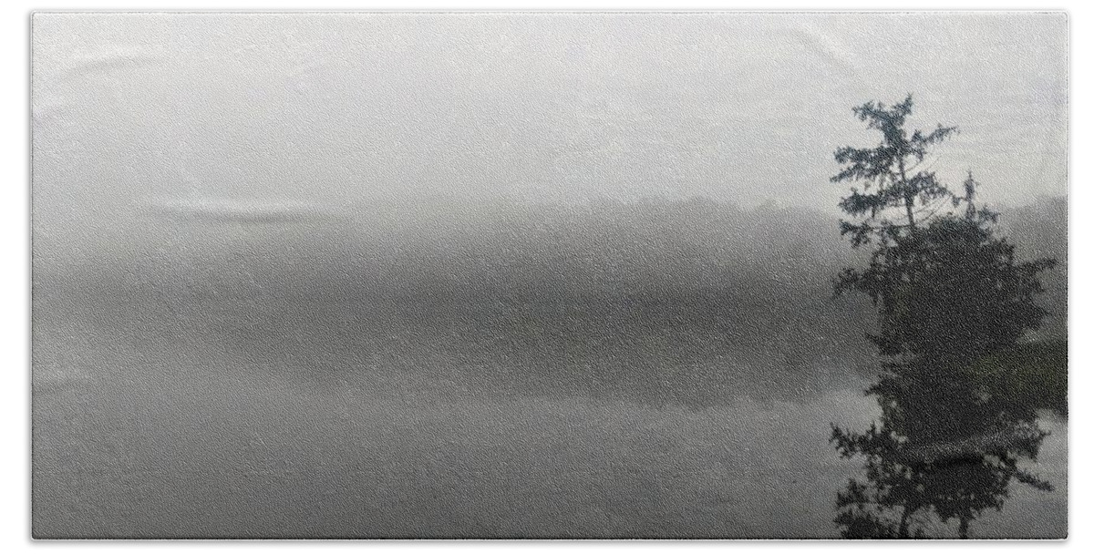  Beach Towel featuring the photograph Foggy Morning Tree by Brad Nellis
